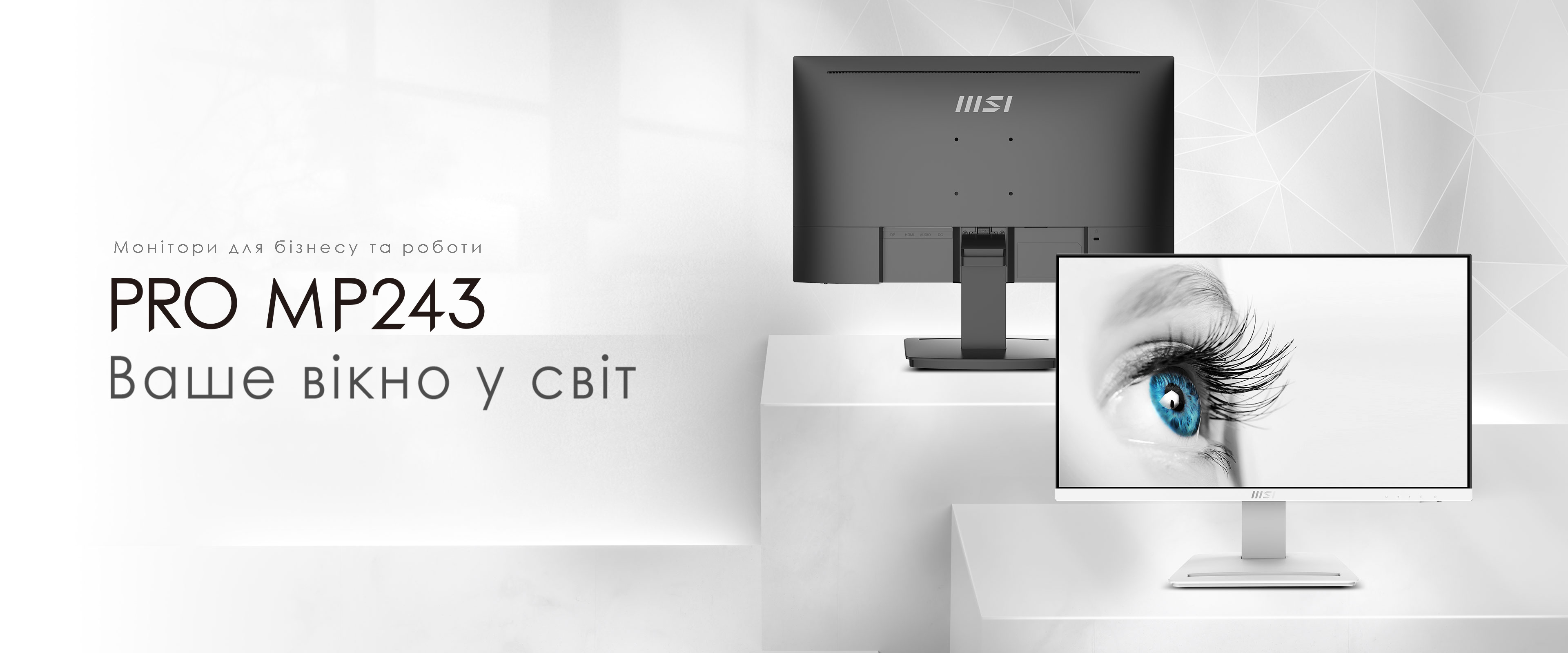 MSI PRO MP243 Monitor